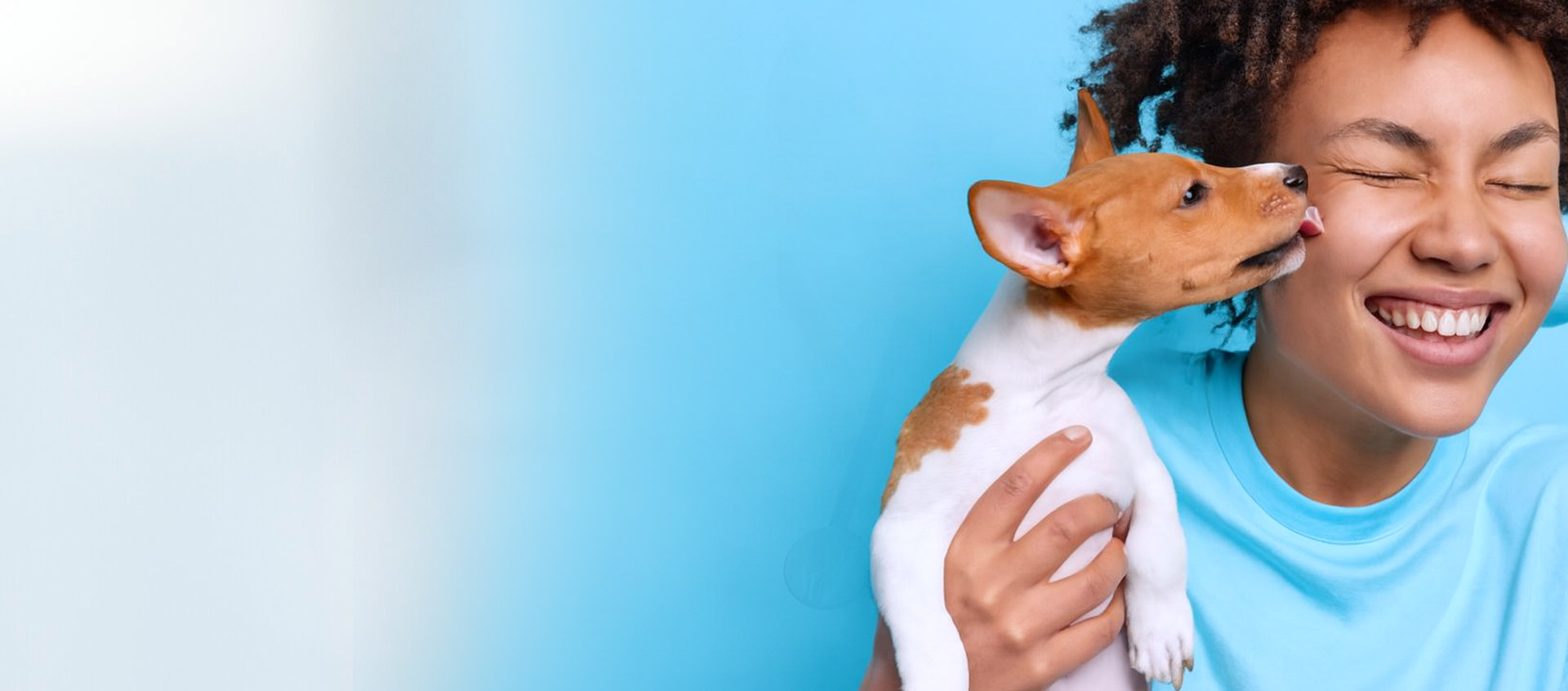 Veterinaria Gameleira